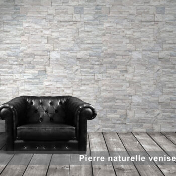 Pierre Venise