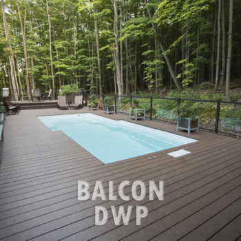 Balcon-DWP-Brun-forestier-logo
