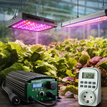 Éclairages horticoles LED pour culture intérieure et semis